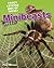 Minibeasts