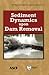 Sediment Dynamics upon Dam ...