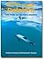 Down-Under Dolphins: The Story of Hector's Dolphin