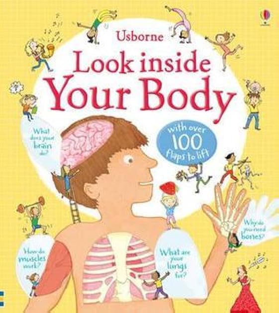 Your Body. Illustrated by Kate Leake