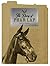 The Diary of Phar Lap