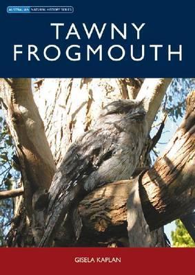 Tawny Frogmouth