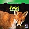 Foxes in the Dark
