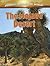 The Mojave Desert (Deserts Around the World)