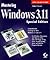 Mastering Windows 3.1