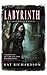 Labyrinth (Greywalker, #5)