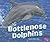 Bottlenose Dolphins