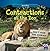 Contractions at the Zoo (Word Play)