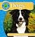 Dogs