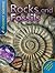 Rocks and Fossils