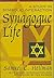 Synagogue Life: A Study in ...