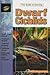 Dwarf Cichlids: Keeping & Breeding Them in Captivity