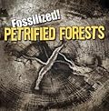 Petrified Forests