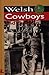 Welsh Cowboys and Outlaws