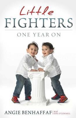 Little Fighters: One Year On