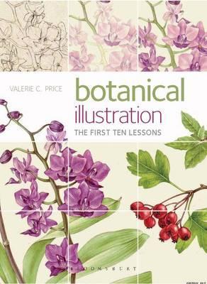 Botanical Illustration: The first ten lessons (Paperback)