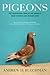 Pigeons:  The Fascinating Saga of the World's Most Revered and Reviled Bird