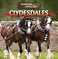 Clydesdales