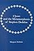 Ulysses and the Metamorphosis of Stephen Dedalus