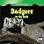 Badgers in the Dark (Creatures of the Night)