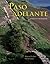 Paso adelante (World Languages)