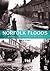 Norfolk Floods: An Illustrated History, 1912, 1938 & 1953