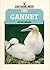 The Gannet (Shire Natural History)