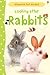 Looking After Rabbits by Fiona Patchett
