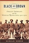 Black and Brown: African Americans and the Mexican Revolution, 1910-1920