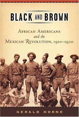 Black and Brown: African Americans and the Mexican Revolution, 1910-1920 (Paperback)