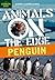 Penguin (Animals on the Edge)