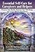 Essential Self-Care for Caregivers and Helpers by Howard Brockman