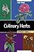 Culinary Herbs