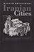 Iranian Cities: Formation and Development (Contemporary Issues in the Middle East)