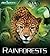 Rainforests