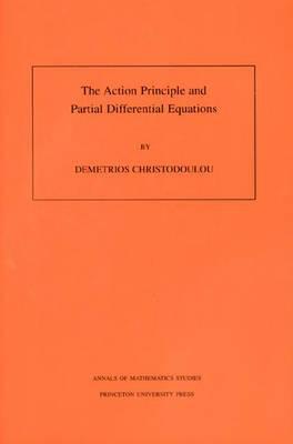 The Action Principle and Partial Differential Equations (Paperback)