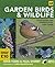 Garden Birds and Wildlife