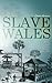 Slave Wales: The Welsh and Atlantic Slavery, 1660-1850