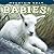 Mountain Goat Babies! (Babies! by Sumio Harada