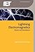 Lightning Electromagnetics (Energy Engineering)