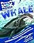 Whale