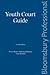 Youth Court Guide by Terry   Moore