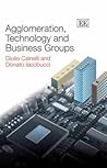Agglomeration, Technology and Business Groups