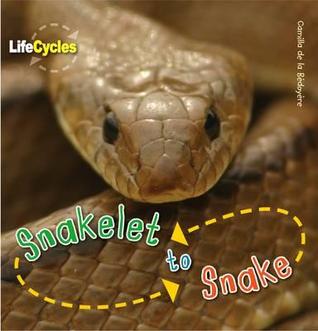 Snakelet to Snake (Paperback)