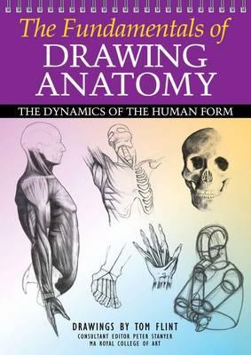 The Fundamentals of Drawing Anatomy: The Dynamics of the Human Form (Paperback)