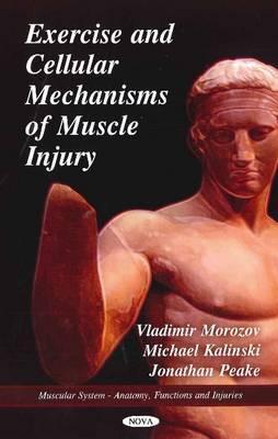 Exercise and Cellular Mechanisms of Muscle Injury (Muscular System - Anatomy, Functions and Injuries)