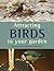 Attracting Birds to Your Garden