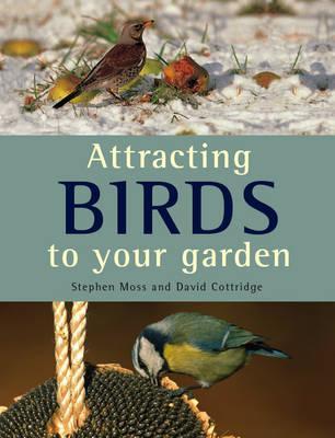Attracting Birds to Your Garden (Paperback)