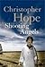 Shooting Angels by Christopher Hope