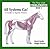 All Systems Go!: A Guide to Equine Fitness. David Marlin and Maggie Raynor
